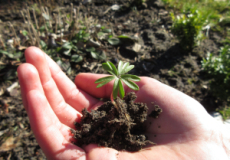 Elternkreis Elternkreis