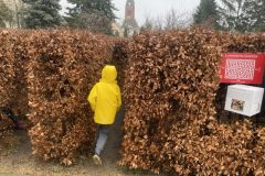 IMG_0389