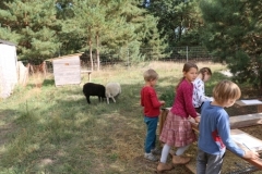 Tiere5FG