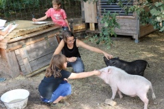 freie-schule-tiere