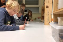 Lesenacht_2025_Comicatelier_2