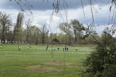 IMG_3412