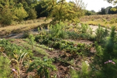 schulgarten