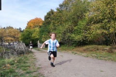Station - 50m Sprint
