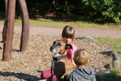 IMG_8410 IMG_8410