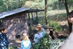 IMG_8463 IMG_8463