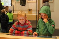 IMG_8182 IMG_8182