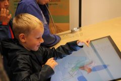 IMG_8184 IMG_8184