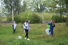 IMG_8185 IMG_8185