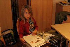 IMG_8203 IMG_8203