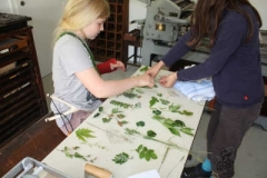 Druckwerkstatt