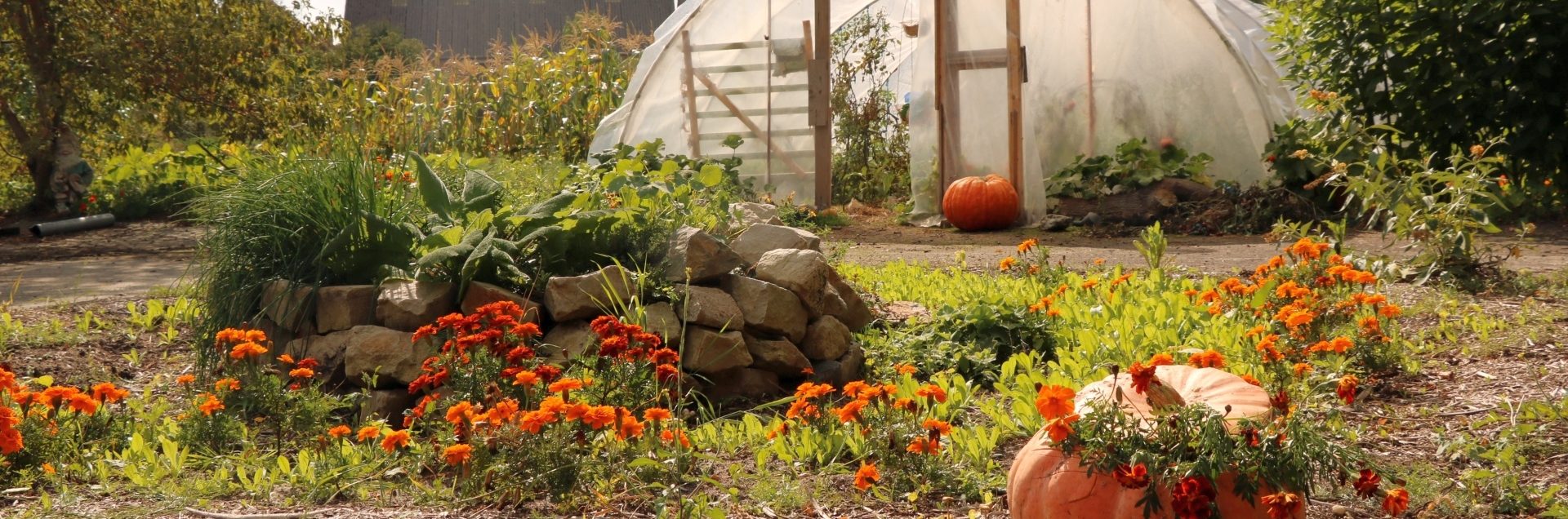 Reifen und Wachsen begreifen