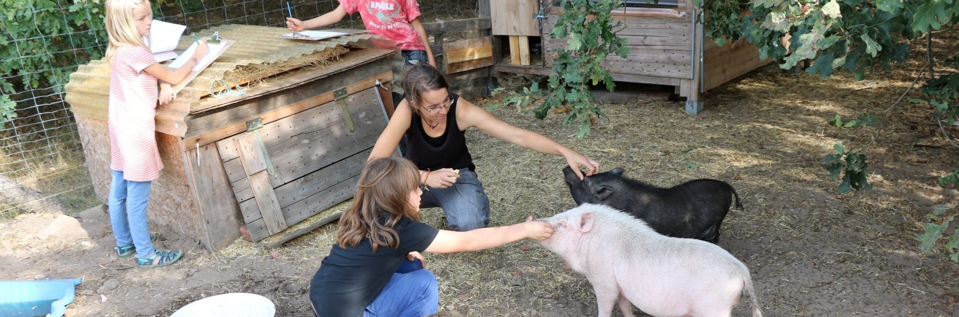 Tiergestütztes Lernen - Unser Lehrbauernhof